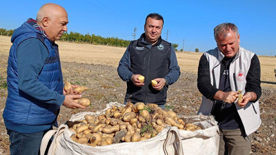 Beyşehir’de çiftçinin yüzü güldü!