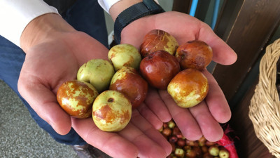 Uykusuzluğa ve öksürüğe karşı doğal çözüm