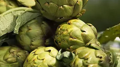 Siroz ve karaciğer yağlanması olanlara müjde! Uzmanlar açıkladı