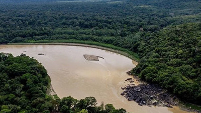Gezegenin akciğerlerinde alarm çanları! Küresel orman kaybında tarihi zirve görüldü