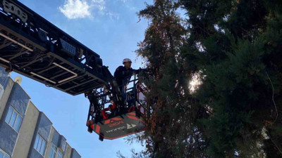 Şanlıurfa’da yavru kediyi kurtarma operasyonu