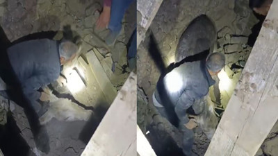 Sındırgı’da 6.1’lik depremde enkaz altında kalan eşek Kadife’nin mucize kurtuluşu! “Hem iş arkadaşım, hem yoldaşım”