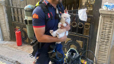 Siirt’te yangında mahsur kalan kediye kurtarma operasyonu