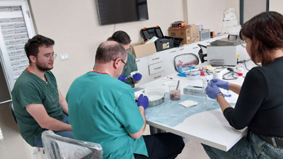 Süt alerjenini taşımayan ilk buzağılar Türkiye’de doğdu!