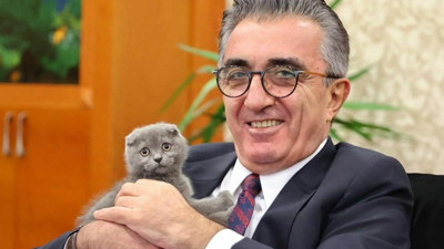 Bayrampaşa'da kedi polemiği!