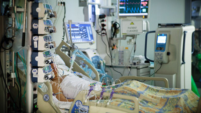 Deli dana haberlerinden endişelenmeli miyiz? Uzmanına sorduk…