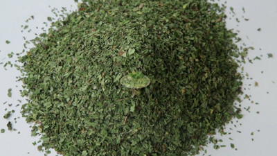 Mutfakların vazgeçilmezi! Nane tüketiminde doğru yöntem