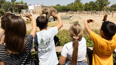 İzmir Doğal Yaşam Parkı’na yoğun ziyaretçi akını