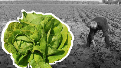 Bir yanda üreticiden 2 liraya alanlar diğer yanda yüzde 137’lik enflasyon… Çiftçi buna nasıl para yetiştirsin?