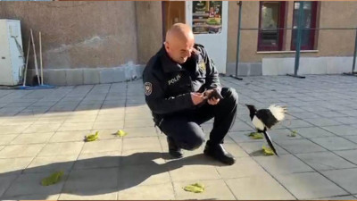 Dostlukları tebessüm ettiriyor: Polis memuru ile saksağan kuşunun dostluğu görenlerin içini ısıtıyor