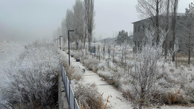 Sis ve kırağı Ardahan'ı etkisi altında aldı
