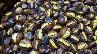 Yoğun ilgi görüyor: Düzce'nin tescilli "kuzu kestanesi", sokak tezgahlarındaki yerini aldı.