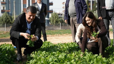 Adıyaman Belediyesi’nde hasat şenliği! Kadın emeğiyle üretilen sebzeler tezgaha çıktı