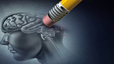 Hafızanın şifresi çözüldü! Uzmanlar bıçak keskinliğindeki zekanın kilidini açtı