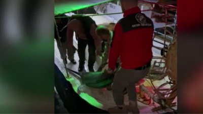 Dev balık oltaya takıldı! 115 kilo: Rekor fiyata satıldı