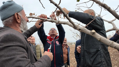 Siirt’te fıstık üreticilerine ‘budama’ ile ‘gübreleme’ eğitimi