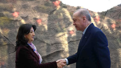 DEM'li Bakırhan 'çoban olsunlar' demişti: AKP'nin masasında 'koruculuk sistemi' var