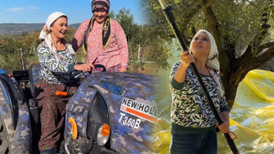 Şehir hayatından kaçıp köye yerleşti! Nurgül Yeşilçay traktör sürdü zeytin topladı