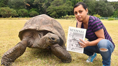 Dünyanın en yaşlı kaplumbağası iki dünya savaşı gördü! Guinness Dünya Rekorları'na girdi