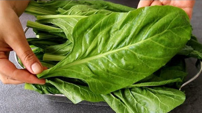 Yeşil yaprakların süper kahramanı! Ispanağa göre daha güçlü