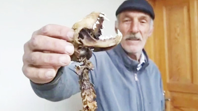 Paniğe kapılıp yetkililere haber verdi! 'İlk kez böyle bir şey gördüm...'