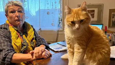 Komşunun bahçesine giren kediye ev hapsi cezası