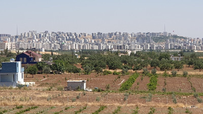Mehmet Faraç zeytinliklerin, tarım alanlarının betona gömülmesinin yakan bedelini açıkladı