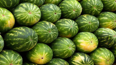 Karpuz nasıl seçilir? Karpuz seçerken nelere dikkat etmek gerekiyor?