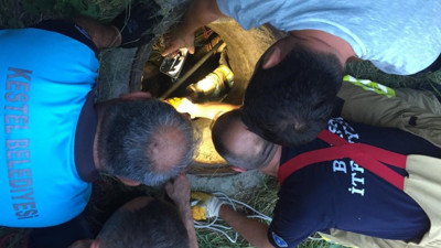 Kuyuya düşen köpek için ekipler alarma geçti