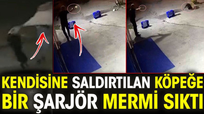 Kendisine saldırtılan köpeğe bir şarjör mermi sıktı