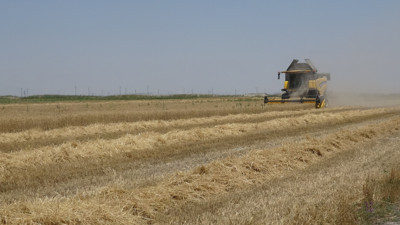 Siber dolandırıcılar gözünü çiftçilerin mahsulüne dikti