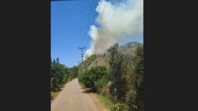 Muğla Dalyan’da orman yangını