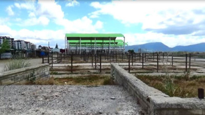 Hayvan pazarı şap hastalığı nedeniyle kapatıldı