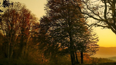 O kentte ormanlara giriş valilikçe yasaklandı