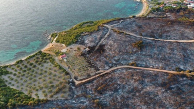 İzmir'deki orman yangınları kontrol altına alındı
