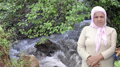 Ordu'da 10 metre yüksekten dereye düşen Naciye teyze aranıyor