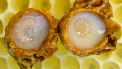 Kilosu 10 bin TL yılda 30 kilo üretiyor