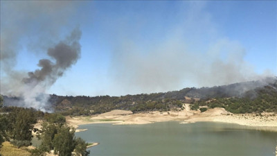 Mersin'de orman yangını (11 Temmuz 2023)