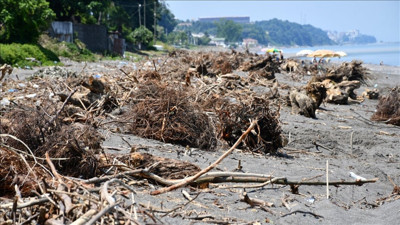 Sahil selin taşıdığı ağaç parçalarıyla doldu