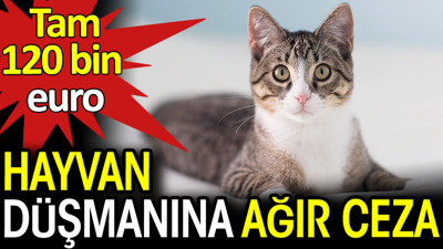 Hayvan düşmanına ağır ceza. Tam 120 bin euro