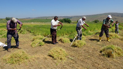 Ayda 30 bin TL kazanıyorlar. Sayıları her gün gün azalıyor