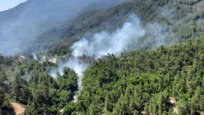 Muğla'da orman yangını (14 Temmuz 2023)