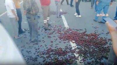 Kiraz üreticileri satamadıkları kirazı yola döktü