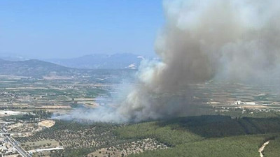 Milas-Bodrum Havalimanı yolundaki ormanlık alanda çıkan yangın kontrol altına alındı