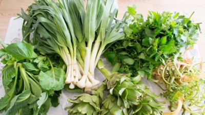 Ege’nin otları cana can katıyor