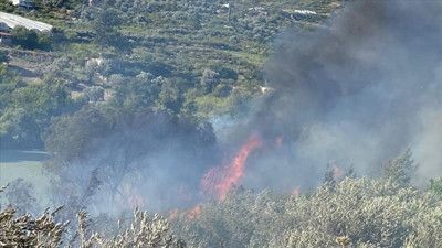 Mersin'de çıkan orman yangını kontrol altına alındı (16 Temmuz 2023)