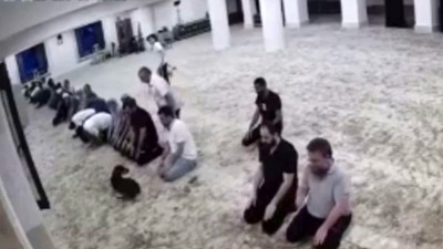 Namaz vaktinde camiye giren köpek cemaate zor anlar yaşattı