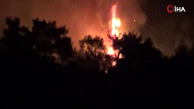 Çanakkale’deki yangına havadan ve karadan müdahale