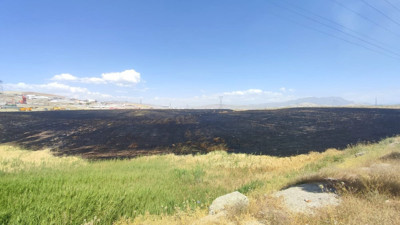 Buğday tarlasında yangın (18 Temmuz 2023)