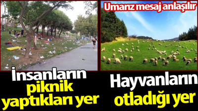 İnsanların piknik yaptıkları yer ile hayvanların otladığı yerin farkı. Umarız mesaj anlaşılır
